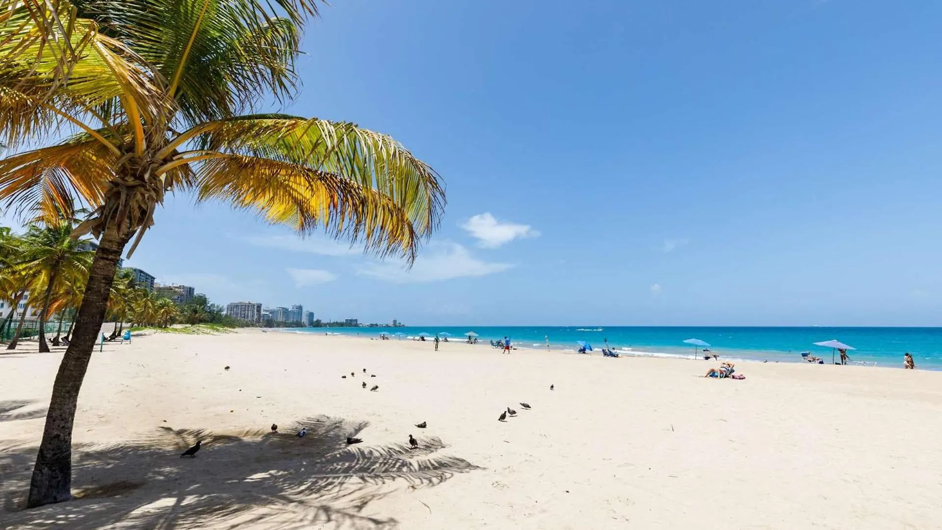 公寓 Beachfront Apartment- Near Foxwoods Casino 圣胡安